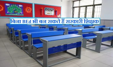 Government Teacher without BEd: बिना बीएड के भी बन सकते हैं सरकारी शिक्षक, भर्ती के लिए ये डिग्री है मान्य