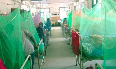 पटना में बढ़ रहे डेंगू के मामले, अब तक ली 3 लोगों की जान