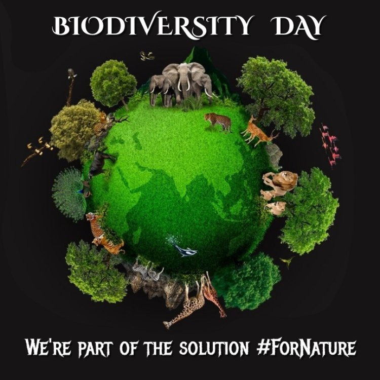 विश्व जैव विविधता दिवस 2023 :  अंतरराष्ट्रीय जैव-विविधता दिवस आज, क्यों मनाया जाता है International Day for Biological Diversity? जानिये क्या है इसका महत्व, इतिहास और थीम..