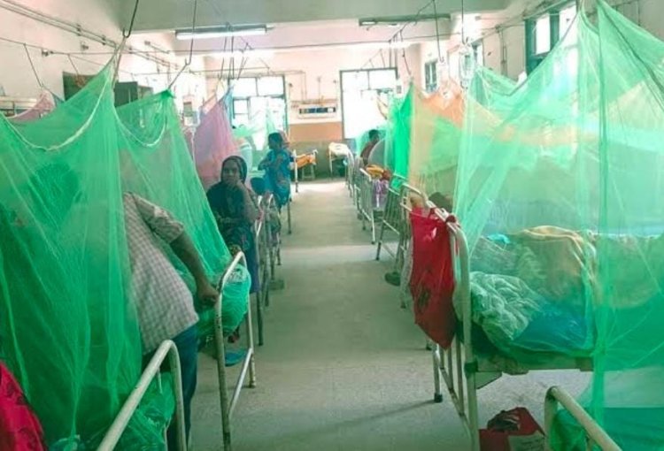 पटना में बढ़ रहे डेंगू के मामले, अब तक ली 3 लोगों की जान