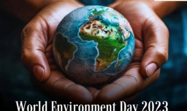 World Environment Day 2023: पर्यावरण दिवस आज, क्या है इसको मनाने का उद्देश्य? जानें इसका इतिहास और थीम