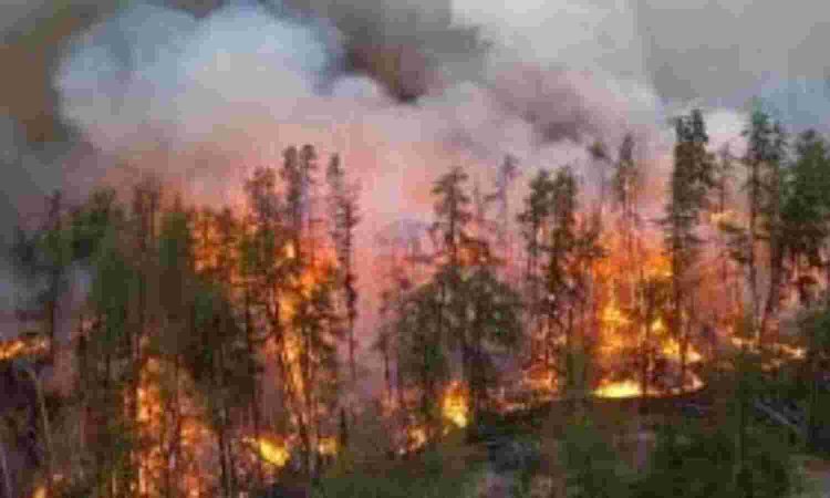 लगी अब तक की सबसे बड़ी आग कनाडा के जंगलों में: लगभग 33 हजार स्क्वायर किमी में आई फैली,1.20 लाख लोगों ने अपने घरों को छोड़ा
