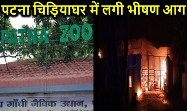 पटना के चिड़ियाघर में लगी भीषण आग, 12 ई-रिक्शा जलकर खाक, फायर ब्रिगेड ने पाया काबू