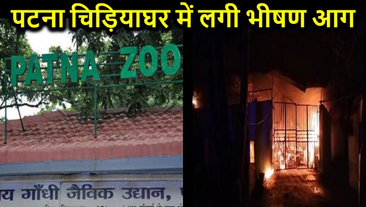 पटना के चिड़ियाघर में लगी भीषण आग, 12 ई-रिक्शा जलकर खाक, फायर ब्रिगेड ने पाया काबू