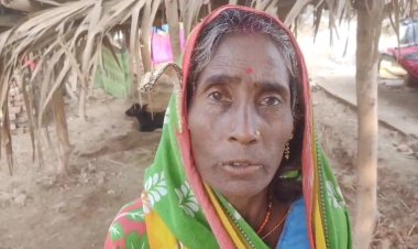 नवादा में एक गौशाला से तीन भैंसों को चुरा ले गए चोर, पशुपालक में हड़कंप