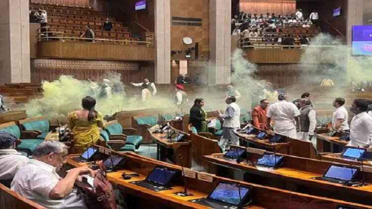 संसद पर हमले की 22 वीं बरसी पर घुसपैठ, चलती लोकसभा में कूदे दो युवक, कर दिया धुंआ-धुंआ