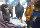 पटना में मर्डर केस लड़कर लौट रहे वकील को अपराधियों में मारा चाकू, हालत गंभीर