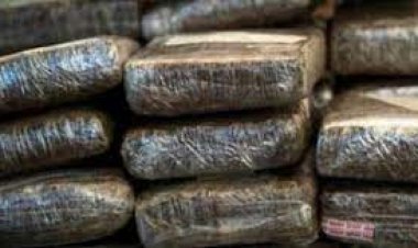 7 करोड़ की चरस के साथ पुलिस ने किया तस्कर को गिरफ्तार, बस से नेपाल भेजी जा रही थी चरस की बड़ी खेप...