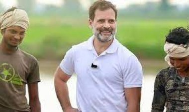 केंद्रीय मंत्री अमित शाह पर बयानबाजी करने के मामले में दर्ज मानहानि के केस में राहुल गांधी को मिली जमानत ...