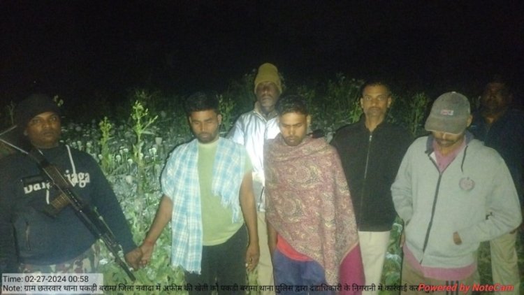नवादा में एक करोड़ के अफीम का पौधा बरामद, तीन करोबारी चढ़े पुलिस के हत्थे