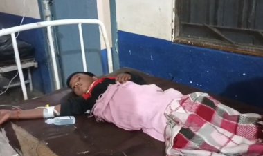 नवादा में जंगली फल खाने से आधा दर्जन बच्चे की हालत बिगड़ी, सभी बच्चे सदर अस्पताल में भर्ती