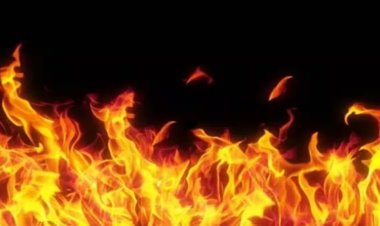 पटना में सूचना जनसंपर्क विभाग के परिसर में लगी आग, मची अफरा-तफरी