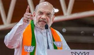अगर लोकसभा चुनाव में 272 सीटें नहीं जीतीं तो बीजेपी का प्लान B क्या है? अमित शाह का जवाब