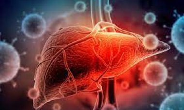 तापमान में बढ़ोतरी के बीच हेपेटाइटिस और गैस्ट्रोएंटेराइटिस के मामले बढ़ रहे हैं। कैसे सुरक्षित रहें, एहतियात संबंधी सुझाव