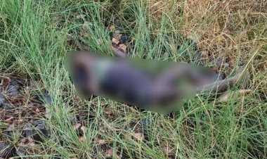 मालगाड़ी की चपेट में आने से बालक की मौत, तिलैया-राजगीर रेलखंड पर हुआ हादसा