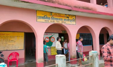 बिहार के सरकारी स्कूल में निकले 40 से ज्यादा कोबरा सांप, शिक्षक और छात्रों के बीच दहशत, 16 जुलाई तक स्कूल बंद