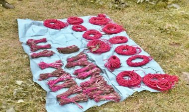 गया में नक्सलियों की बड़ी साजिश को सुरक्षाकर्मियों ने किया नाकाम, 320 डेटोनेटर बरामद