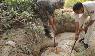 नवादा के जंगलों में शराब का कारोबार, पुलिस ने दर्जनों शराब भट्ठियां किया ध्वस्त