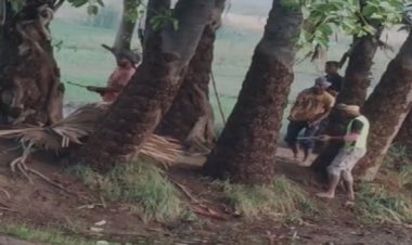 नवादा में पुरानी रंजिश को लेकर दो गुटों के बीच दनादन फायरिंग, लाइव वीडियो देख पुलिस ने इतने लोगों को टांगा..?