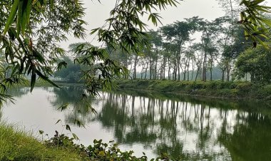 जल-जीवन-हरियाली अभियान ने दिखाया रंग, दक्षिण बिहार में तेजी से सुधर रहा है भूजल स्तर