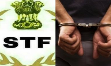 अप्रैल में 115 मोस्टवांटेड अपराधी और 13 नक्सली गिरफ्तार, एसटीएफ को विशेष अभियान में मिली बड़ी सफलता