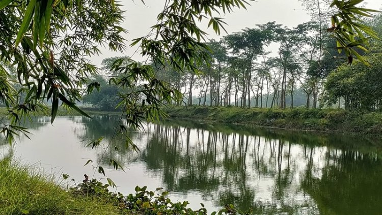 जल-जीवन-हरियाली अभियान ने दिखाया रंग, दक्षिण बिहार में तेजी से सुधर रहा है भूजल स्तर