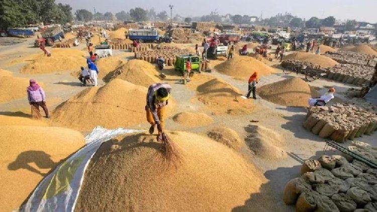 15 जून तक होगी गेहूं की खरीदारी, 48 घंटे में होगा भुगतान, इच्छुक किसान ले सकते हैं न्यूनतम समर्थन मूल्य का लाभ