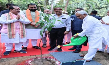 मुख्यमंत्री ने पौधारोपण कर राज्यस्तरीय 'वन महोत्सव' का किया शुभारंभ, राज्य के लोगों से की ये अपील..?