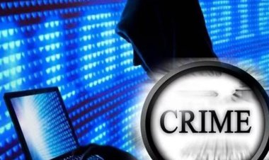 आर्थिक अपराध इकाई की बड़ी कार्रवाई, भोजपुर में पकड़ा गया एक और सिम बॉक्स का मामला
