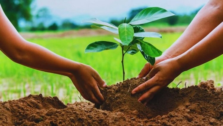 जुलाई-अगस्त में इन बातों का ध्यान रख बेहतर फसल पा सकते हैं किसान