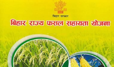 बिहार राज्य फसल सहायता योजना : 31 अक्टूबर तक करें आवेदन