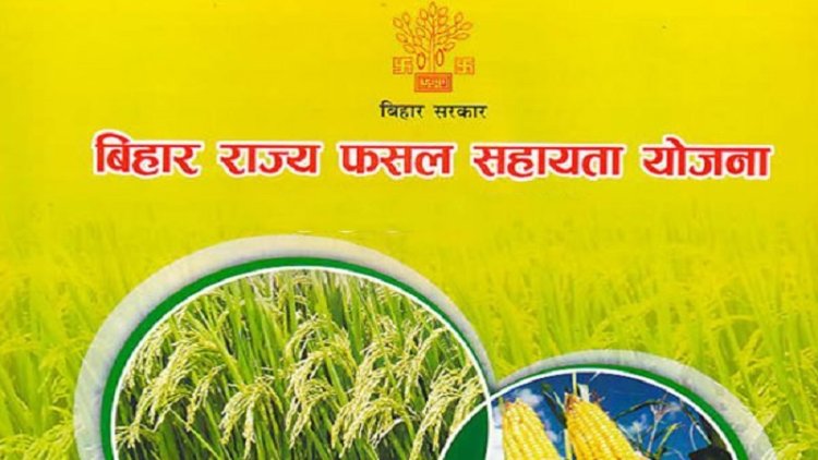 बिहार राज्य फसल सहायता योजना : 31 अक्टूबर तक करें आवेदन