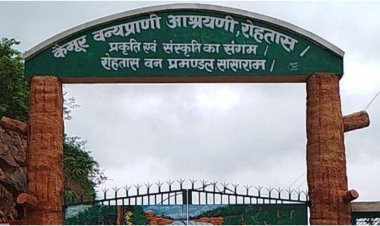 BIHAR TOURISIM:कैमूर की वादियों में लौटेगा बाघ, बिहार को मिलने जा रहा दूसरा टाइगर रिजर्व, NTCA से मिली सैद्धांतिक मंजूरी