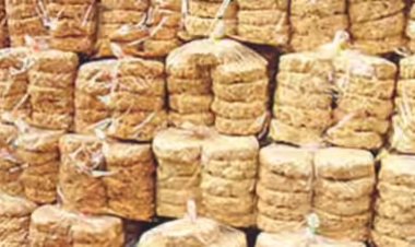 तिलकुट देश की पौराणिक सांस्कृतिक व सनातनी परंपरा, जिसे विदेश में रहने वाले भी निभा रहे हैं