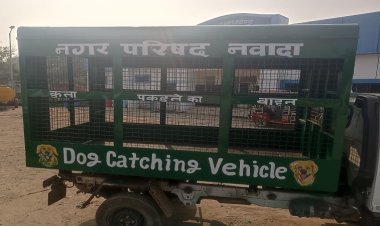 सड़क पर घूमने वाले लावारिस कुत्तों को पकड़कर टीका लगाएंगे, फिर वहीं छोड़े जाएंगे !