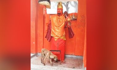 हनुमान और  मां दुर्गा की प्रतिमा की परिक्रमा करने वाले कुत्ते की शुरू हुई पूजा-अर्चना