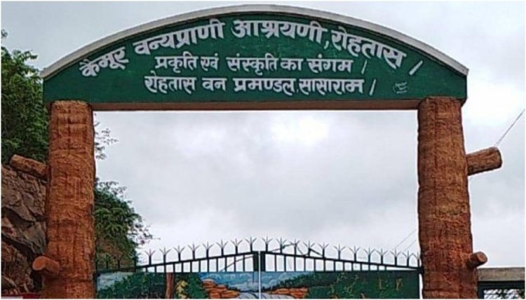 BIHAR TOURISIM:कैमूर की वादियों में लौटेगा बाघ, बिहार को मिलने जा रहा दूसरा टाइगर रिजर्व, NTCA से मिली सैद्धांतिक मंजूरी