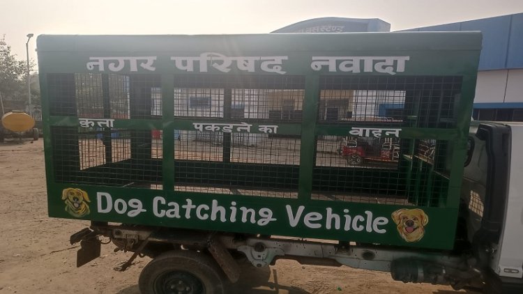 सड़क पर घूमने वाले लावारिस कुत्तों को पकड़कर टीका लगाएंगे, फिर वहीं छोड़े जाएंगे !