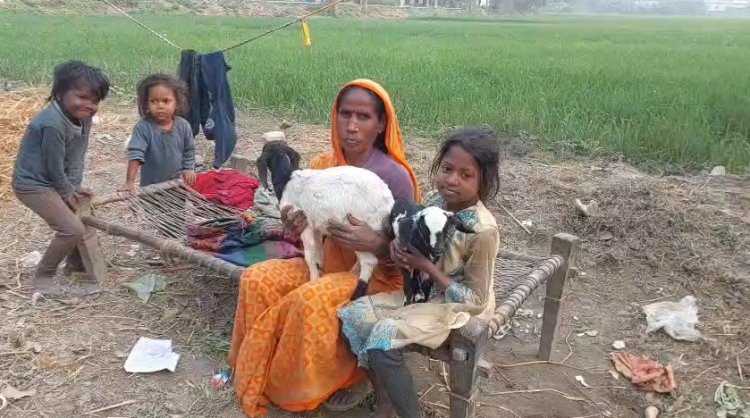 मुख्यमंत्री महिला रोजगार योजना का असर ,वैशाली की कई महिलाएं हो रही लाभांवित 10 हजार से शुरु की बकरी पालन का रोजगार