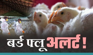बिहार में बर्ड फ्लू का अलर्ट, नॉनवेज खाने वालों को बरतनी होगी सावधानी