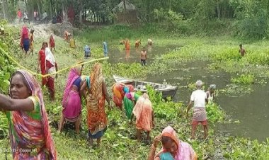 कमाल की खबर:जलकुंभी से जैविक खाद बना मखाने की खेती कर रहे किसान