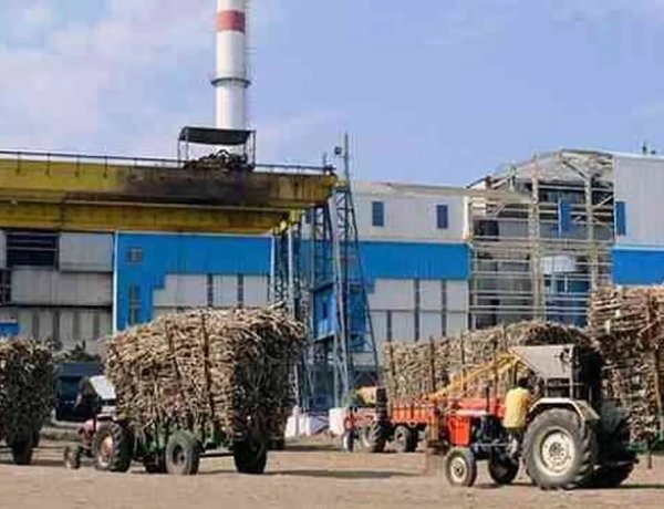 सहकारी मॉडल पर सकरी और रैयाम में स्थापित होंगी चीनी मिलें, उच्चस्तरीय बैठक में लिया गया बड़ा फैसला