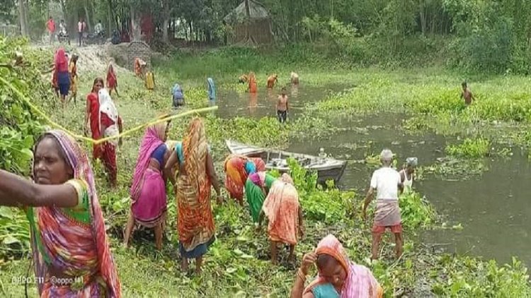 कमाल की खबर:जलकुंभी से जैविक खाद बना मखाने की खेती कर रहे किसान