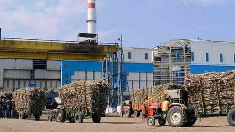 सहकारी मॉडल पर सकरी और रैयाम में स्थापित होंगी चीनी मिलें, उच्चस्तरीय बैठक में लिया गया बड़ा फैसला