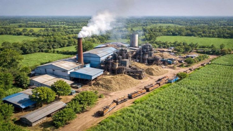 राज्य के गैर चीनी मिल क्षेत्रों में गन्ने की खेती के विस्तार की कवायद शुरू