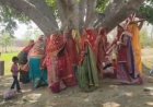 औरंगाबाद में सुहागिनों ने किया वट सावित्री व्रत, पति की दीर्घायु के लिए वट वृक्ष की पूजा