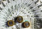 RBI जल्द ही लाएगा, प्लास्टिक करेंसी