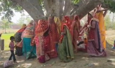 औरंगाबाद में सुहागिनों ने किया वट सावित्री व्रत, पति की दीर्घायु के लिए वट वृक्ष की पूजा