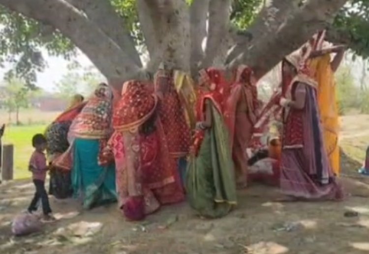 औरंगाबाद में सुहागिनों ने किया वट सावित्री व्रत, पति की दीर्घायु के लिए वट वृक्ष की पूजा