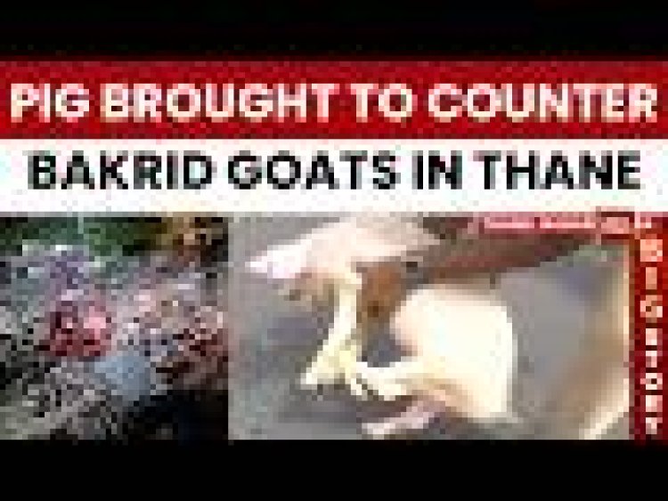 बक्रिद को लेकर भडक उठा युवक, सोसाइटी के गेट पर रख दिया सू/अर